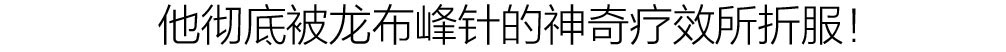 龙布峰针贴正品官网